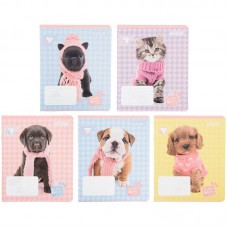 Зошит 18 аркушів лінія, KITE Studio Pets, SP22-237