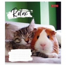 Зошит 36 аркушів клітинка, 1 Вересня Relax choose, 766673